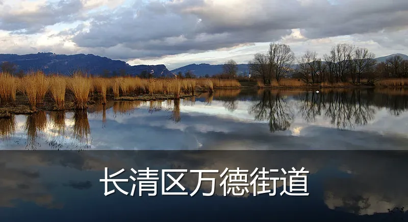 长清区万德街道