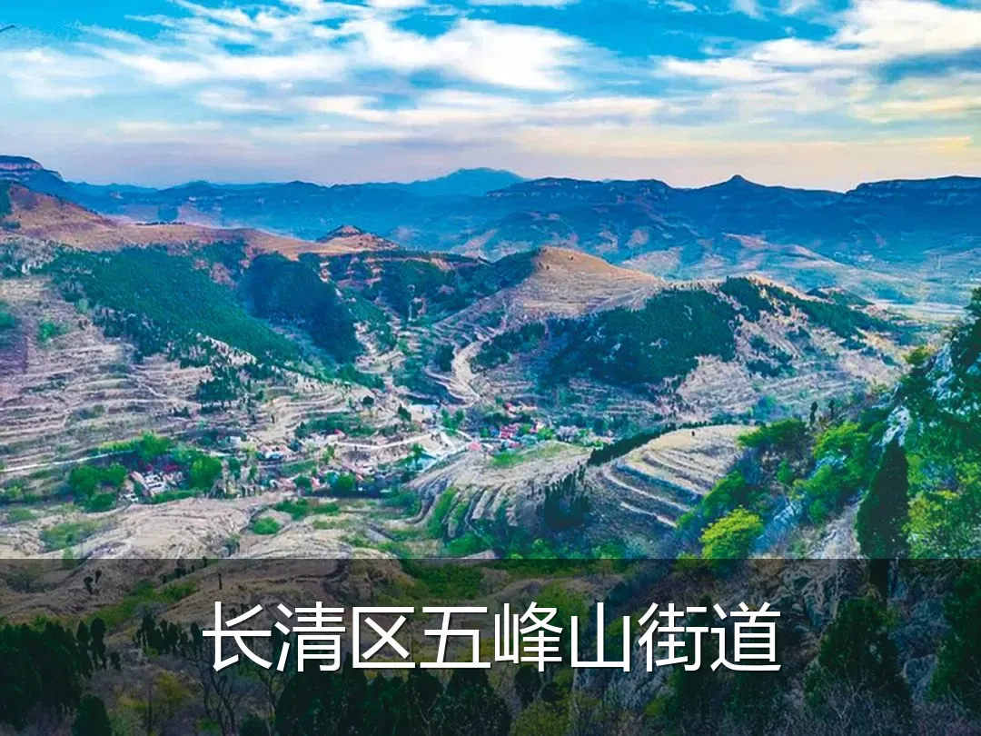 长清区五峰山街道