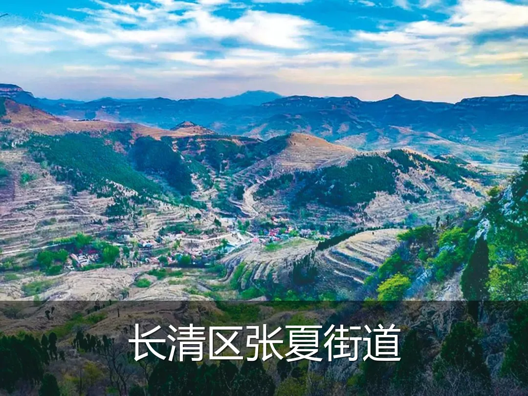 长清区张夏街道